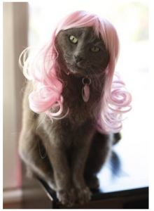 kittywigs.com