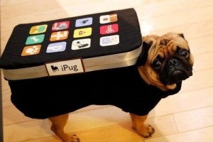pug iphone costume