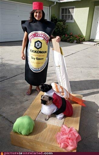 pug sushi costume