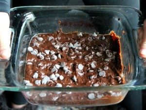 Black Bean Avocado Chocolate Chip Fudge Brownies